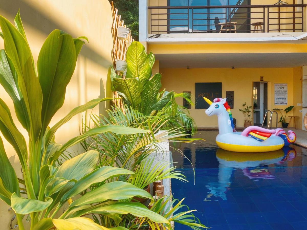 Molly Resorts Puerto Galera Ngoại thất bức ảnh